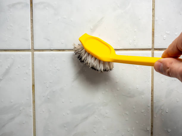 Best Emergency Mold Removal  in Woodbine, GA