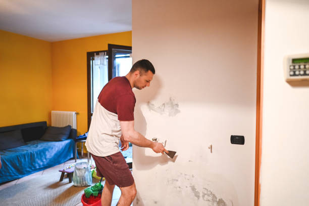 Best Mold Removal Near Me  in Woodbine, GA